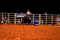 DSC01487_1