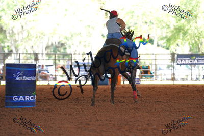 DSC07864_1