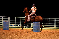 DSC02946_1